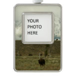 Bison at Grand Teton National Park Photography Christmas Ornament