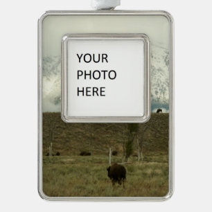 Bison at Grand Teton National Park Photography Christmas Ornament