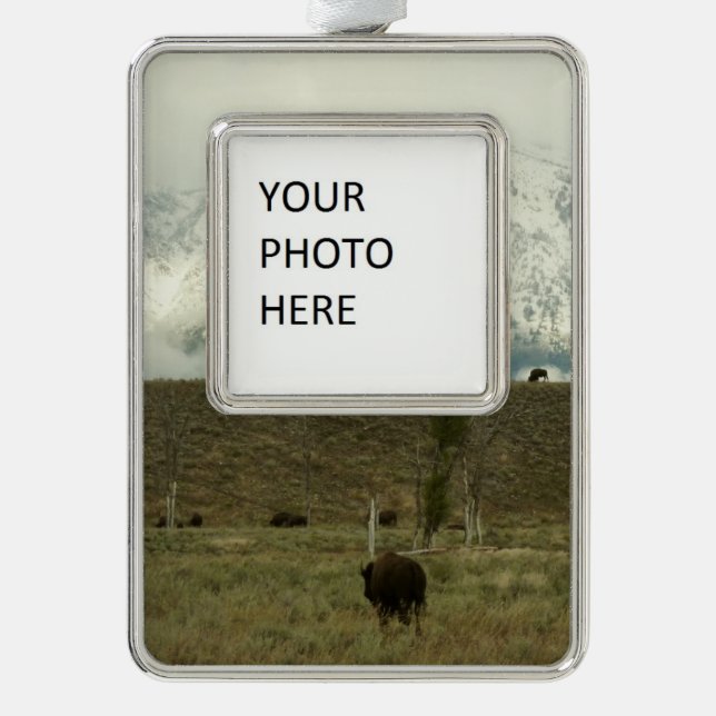Bison at Grand Teton National Park Photography Christmas Ornament (Front)