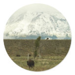 Bison at Grand Teton National Park Photography Classic Round Sticker