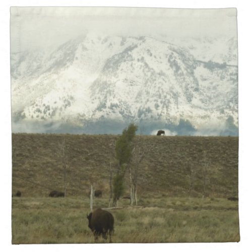 Bison at Grand Teton National Park Photography Cloth Napkin