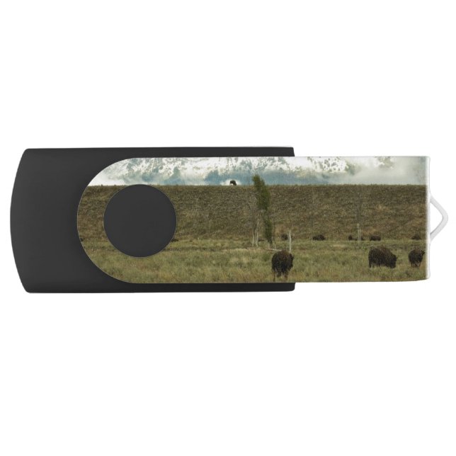 Bison at Grand Teton National Park Photography Flash Drive (Front)