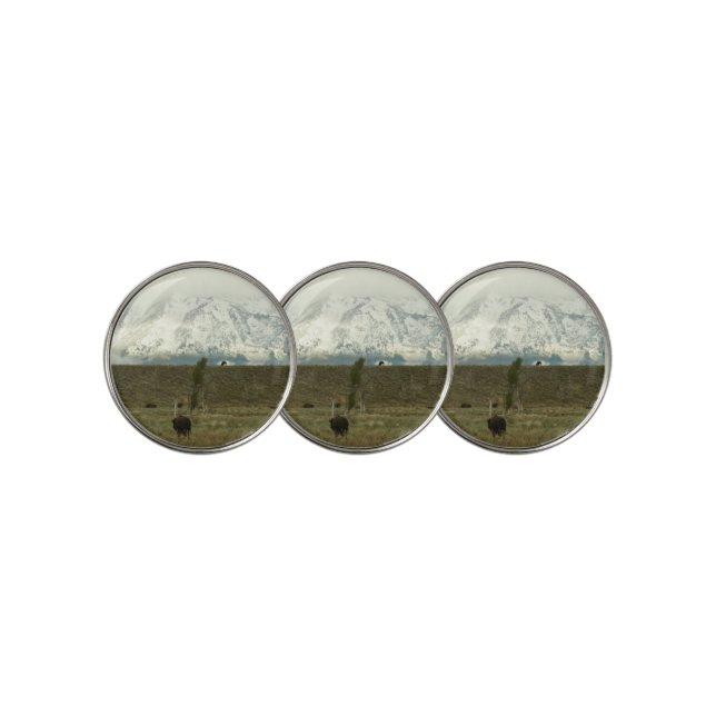Bison at Grand Teton National Park Photography Golf Ball Marker (3 Up)