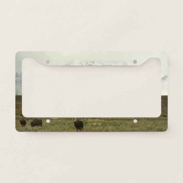Bison at Grand Teton National Park Photography License Plate Frame (Front)