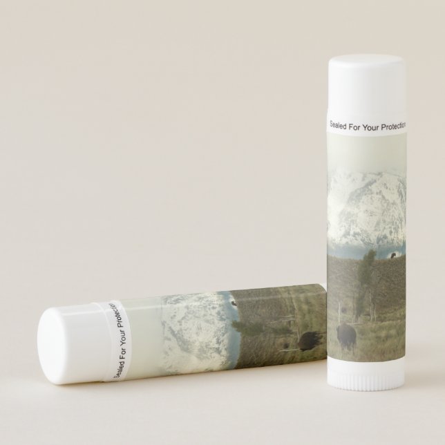 Bison at Grand Teton National Park Photography Lip Balm (Front)
