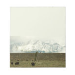 Bison at Grand Teton National Park Photography Notepad