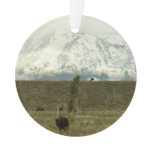 Bison at Grand Teton National Park Photography Ornament