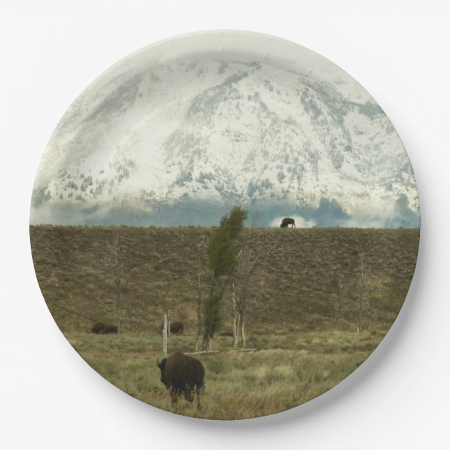 Bison at Grand Teton National Park Photography Paper Plates (Front)