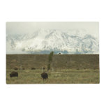 Bison at Grand Teton National Park Photography Placemat