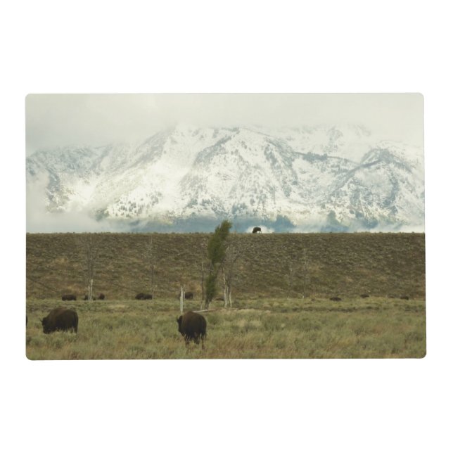 Bison at Grand Teton National Park Photography Placemat (Front)
