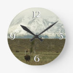 Bison at Grand Teton National Park Photography Round Clock
