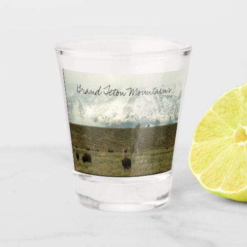 Bison at Grand Teton National Park Photography Shot Glass