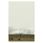 Bison at Grand Teton National Park Photography Stationery
