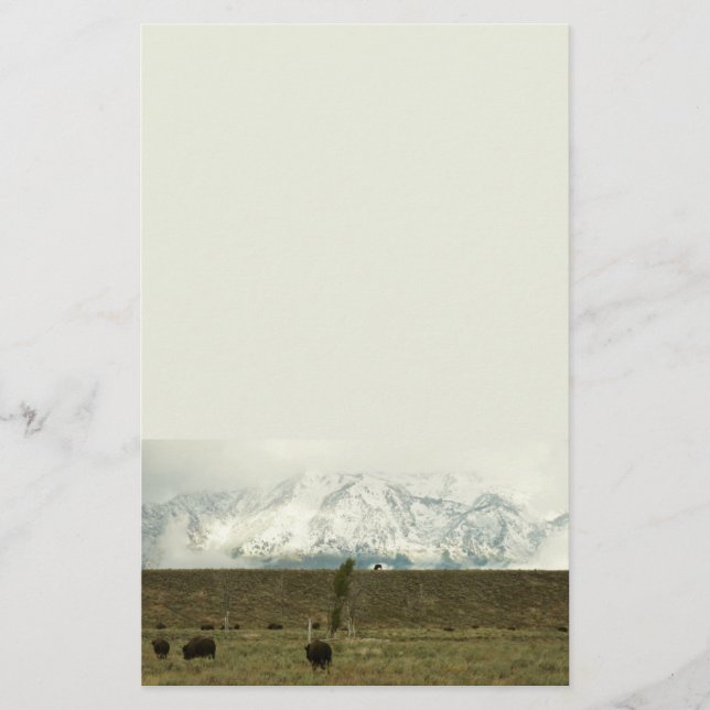 Bison at Grand Teton National Park Photography Stationery (Front)