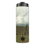 Bison at Grand Teton National Park Photography Thermal Tumbler