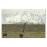 Bison at Grand Teton National Park Photography Tissue Paper