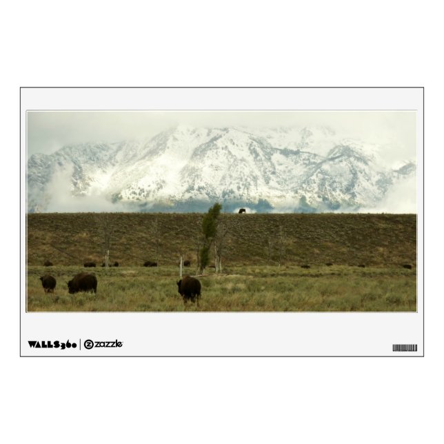 Bison at Grand Teton National Park Photography Wall Decal (Front)