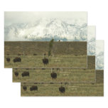 Bison at Grand Teton National Park Photography Wrapping Paper Sheets