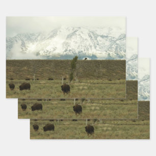 Bison at Grand Teton National Park Photography Wrapping Paper Sheets