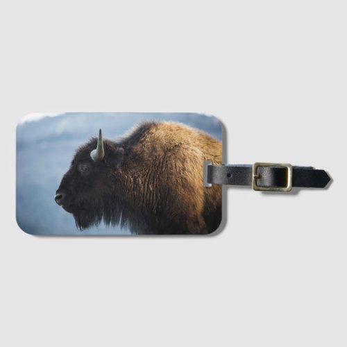 Bison at Lamar Valley Yellowstone Luggage Tag