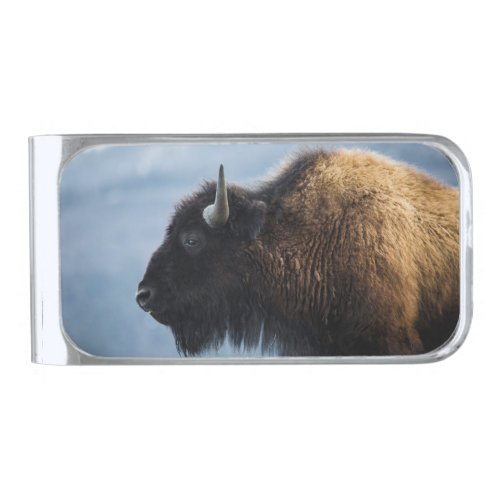 Bison at Lamar Valley Yellowstone Silver Finish Money Clip