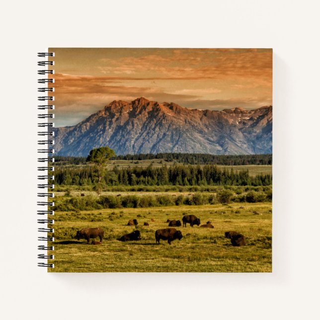 Bison at Sunrise Notebook (Front)