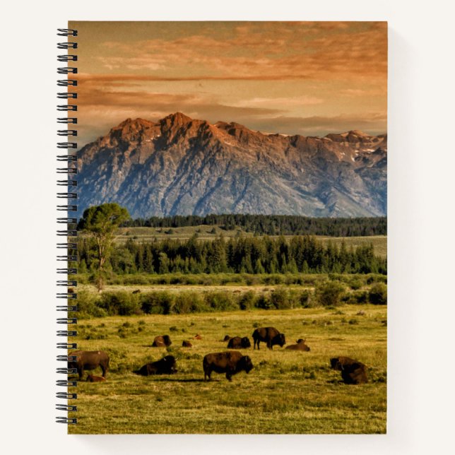 Bison at Sunrise Notebook (Front)