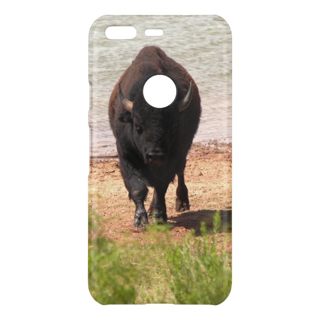 Bison At The Water Google Phone Cases (Back)