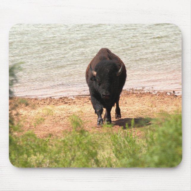 Bison at the Water Mouse Pad (Front)