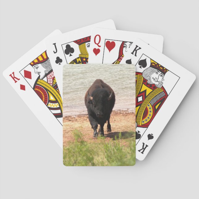 Bison at the Water Poker Cards (Back)