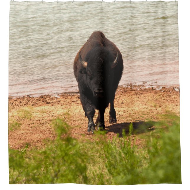 Bison At The water Shower Curtain (Front)