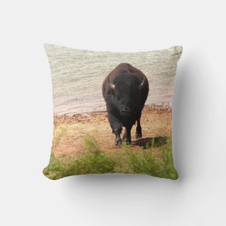 Bison At The Water