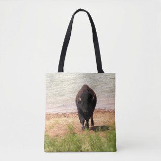 Bison At The Water
