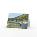 Bison at Yellowstone National Park Card