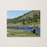 Bison at Yellowstone National Park Jigsaw Puzzle