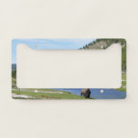 Bison at Yellowstone National Park License Plate Frame