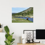 Bison at Yellowstone National Park Poster