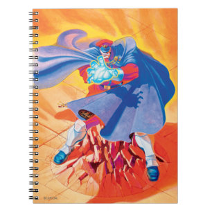 Bison Attack Notebook
