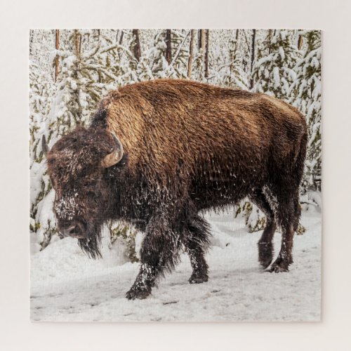 Bison Bison bison _ Buffalo _ Snow _ 676 piece Jigsaw Puzzle