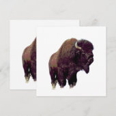 Bison Buffalo (Front/Back)