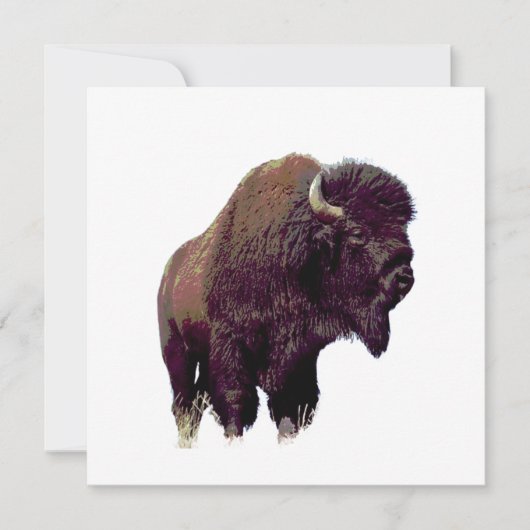 Bison Buffalo (Front)
