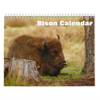 Bison Buffalo 2024 Calendar by sunbuds at Zazzle