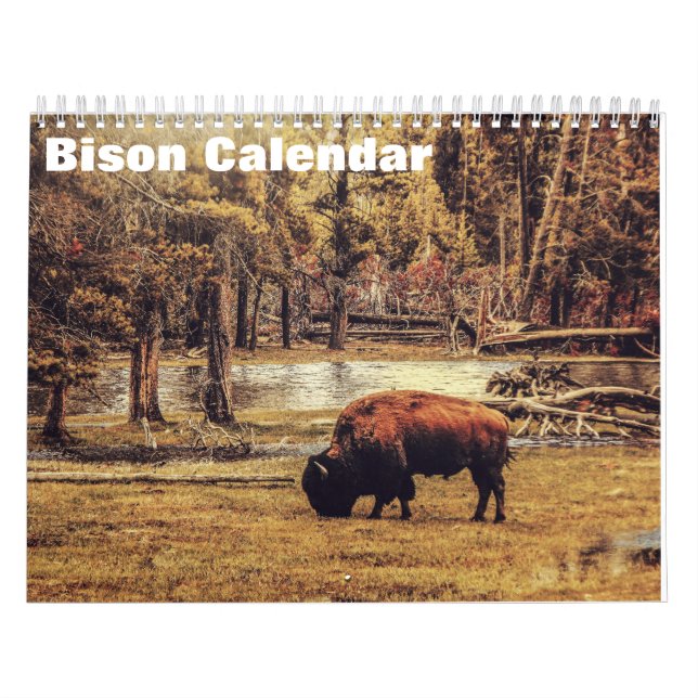 Bison Buffalo 2026 Calendar (Cover)