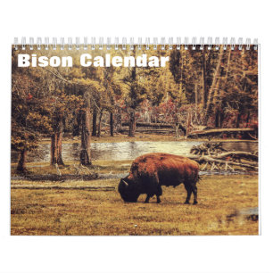Bison Buffalo 2026 Calendar