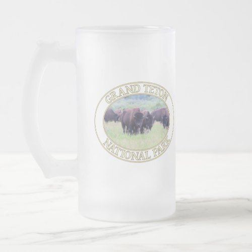 Bison  Buffalo at Grand Teton National Park in WY Frosted Glass Beer Mug