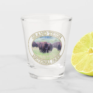 Bison / Buffalo at Grand Teton National Park in WY Shot Glass