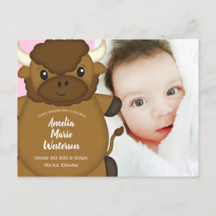 Bison Buffalo Baby Shower Pink Postcard