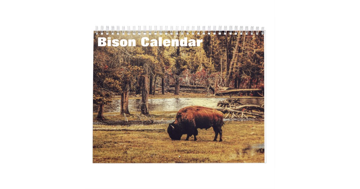 Bison Buffalo Calendar