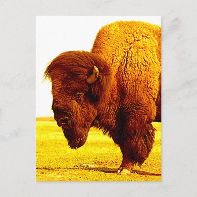Bison / Buffalo Head Artwork Postcard (Front)