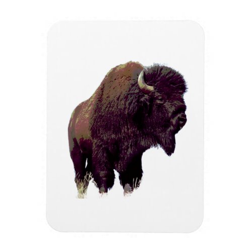 Bison Buffalo  Magnet
